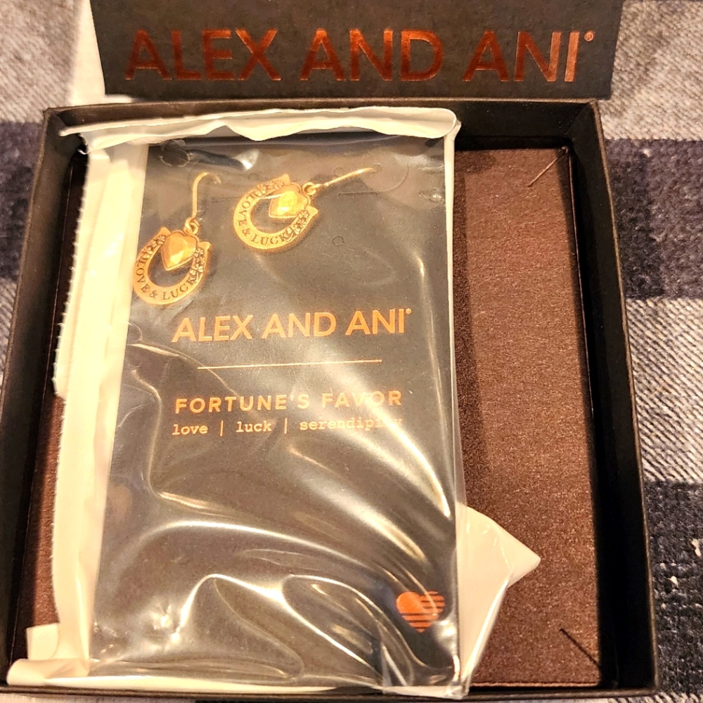 Alex and Ani earrings